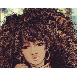 Sampon Afrohair, Novex